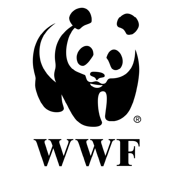 Strategic Partners 3