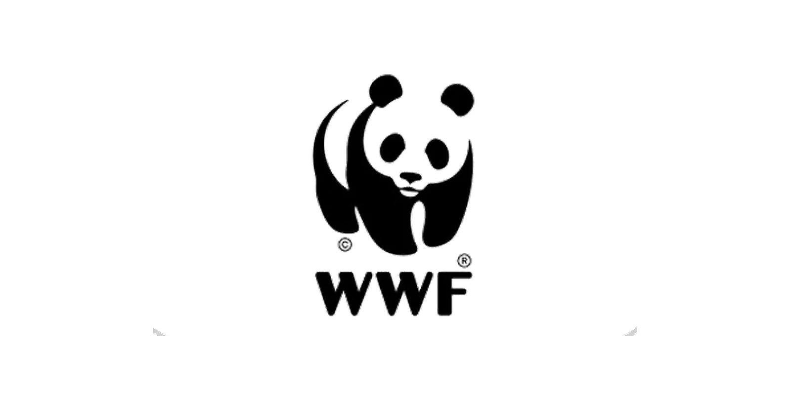 9c4cffd0d110f387b0e2be027735031b08c03959