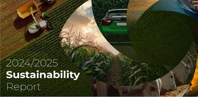 The State of Sustainability Skills in Egypt 2025